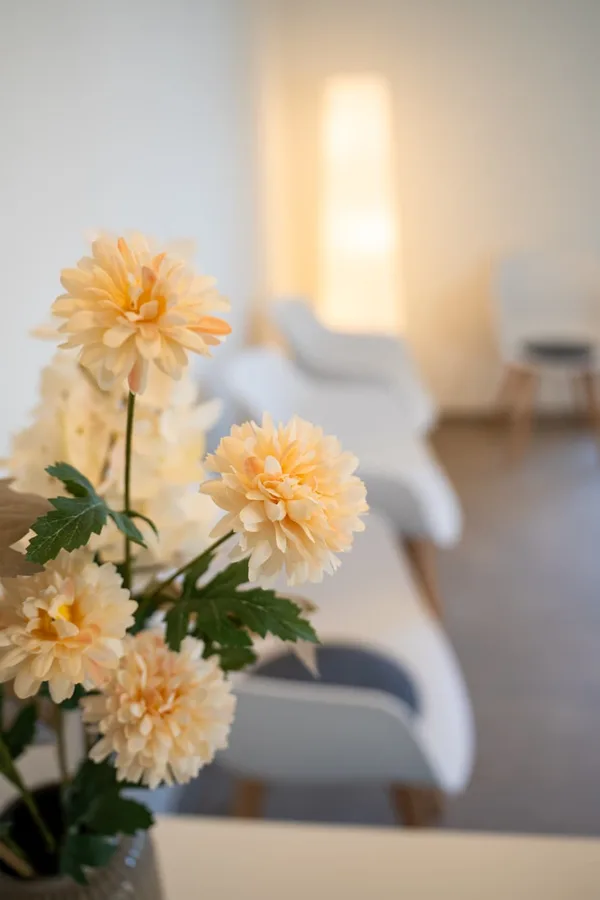 Blumen in der Praxis Sophia Meister